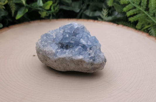 Celestite