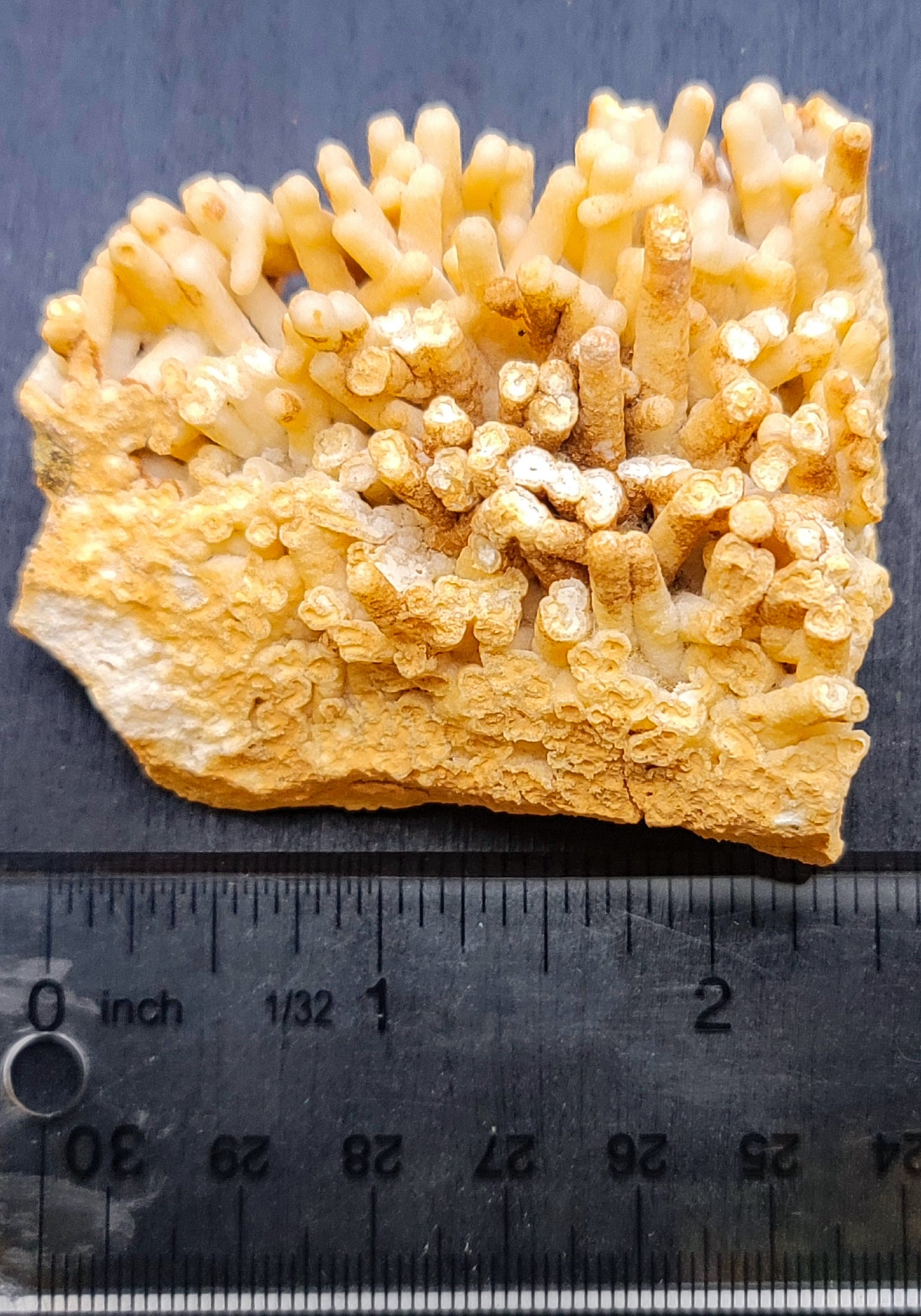 Coral Aragonite