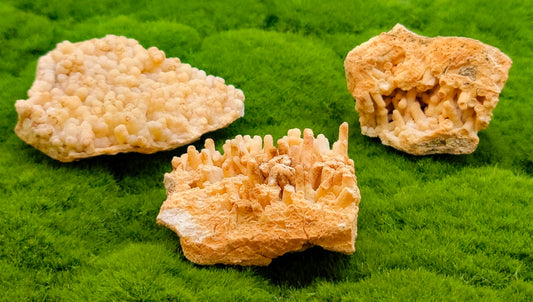 Coral Aragonite